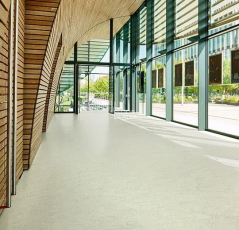 Forbo Marmoleum Decibel on Order 386035 silver shadow фото 2 | FLOORDEALER